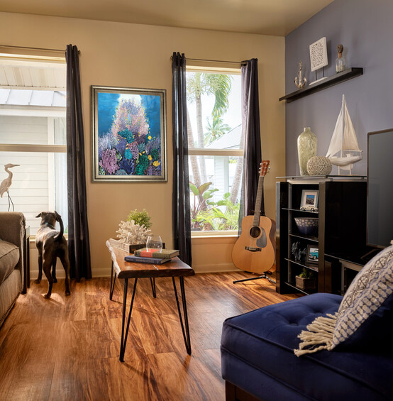 CGI Interior A dog Retouch