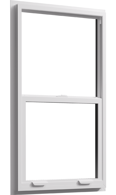 WinGuard Single Hung