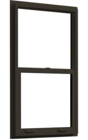 Vinyl_Single_Hung_SGD5570NS_01_bronze.png