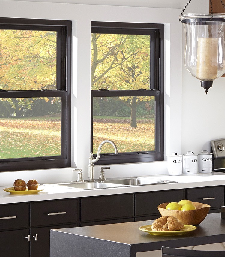 Double Hung Window - Double Hung Windows - DH5460