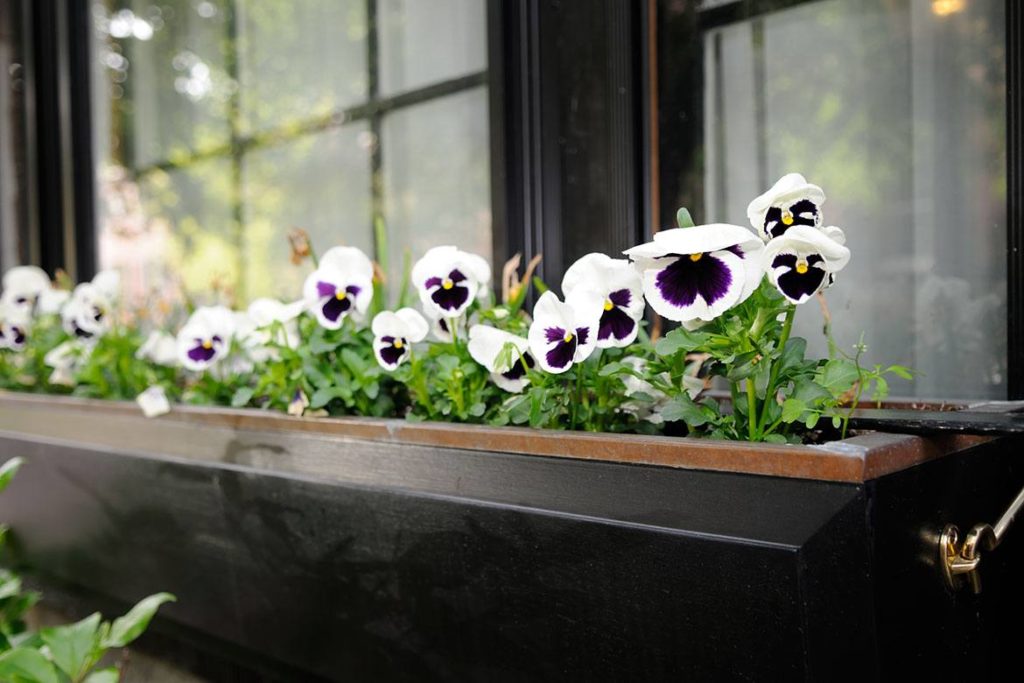 Outdoor Style - PGT - Window Boxes