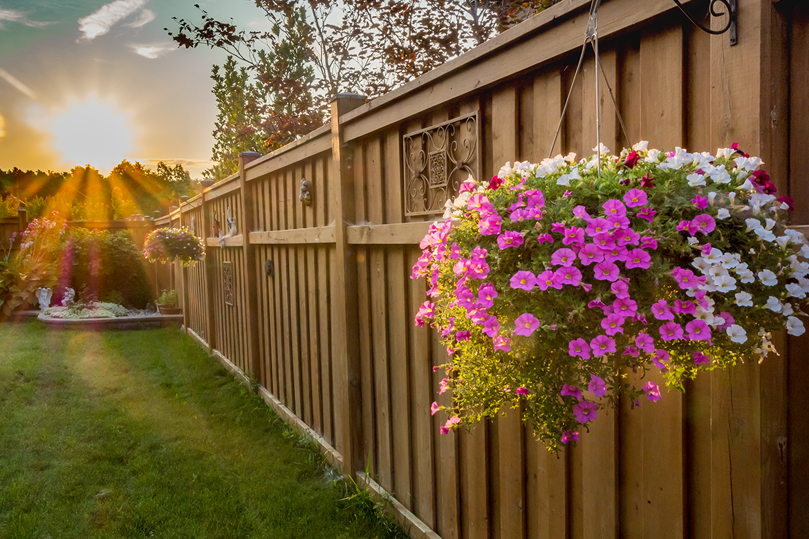Wooden fence with flowers to reduce exterior noise